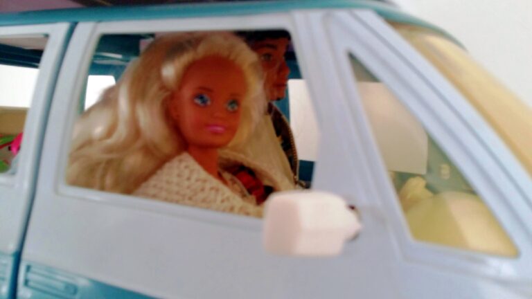 Fi goes home from hospital