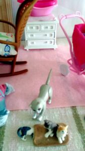 Gris goes to investigate